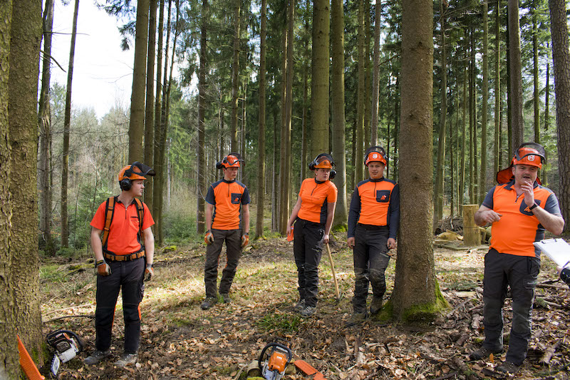 apprentices forest workers